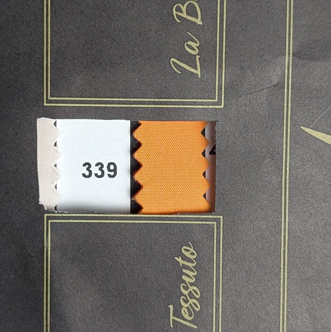 Popeline in cotone e nylon elastico - BRANDO