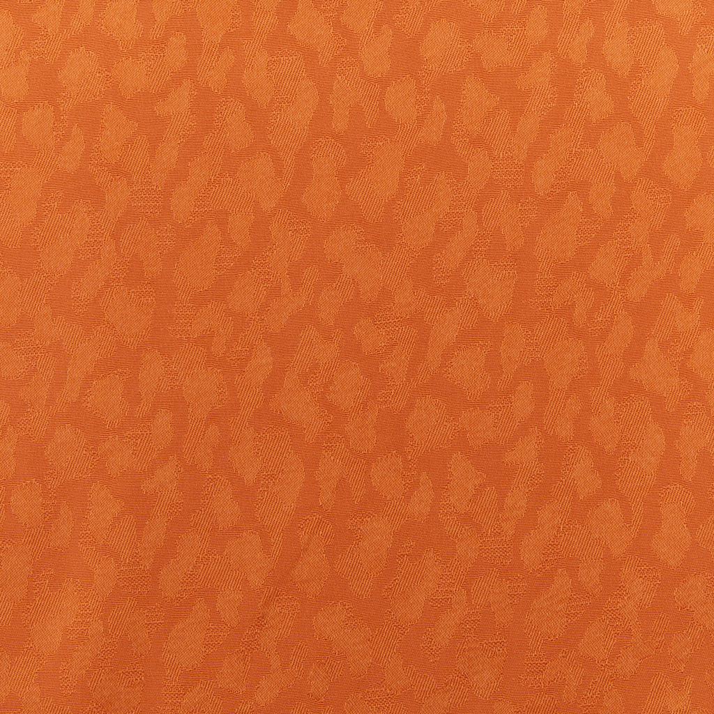 CONGAS DISEGNO 4