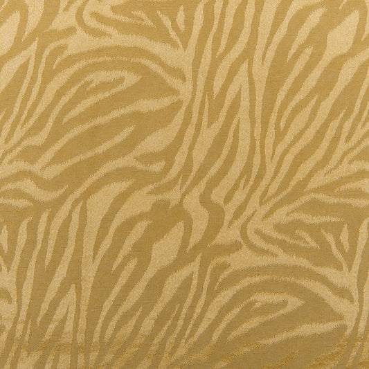 Raso Jacquard con fantasia al metro - Congas disegno 5