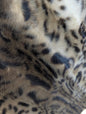 Pelliccia ecologica leopardata - LEOPARDO